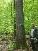 W.Böhm W.Böhm